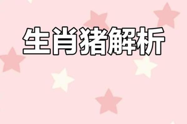 猪宝宝起名风格分析：传统与现代的完美融合