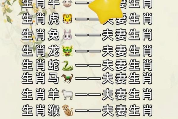 与马相配的属相分析:谁是最理想的伴侣? 与马相配的属相分析:谁是最理想的伴侣?