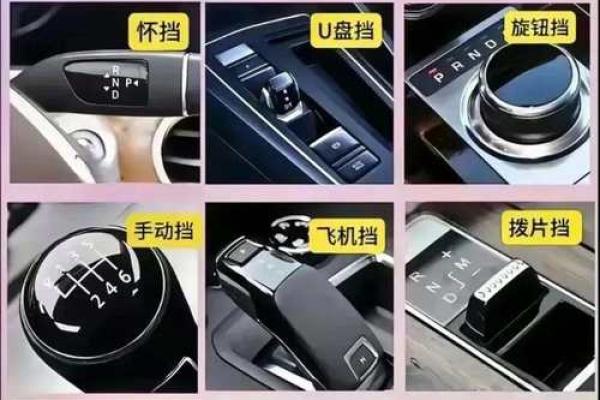 车子名字的魅力：如何从品牌中感受到独特的驾驶体验
