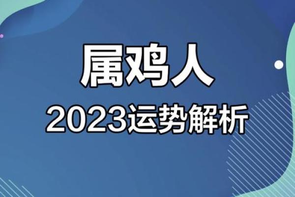 属鸡人在不同月份的运势波动与应对策略