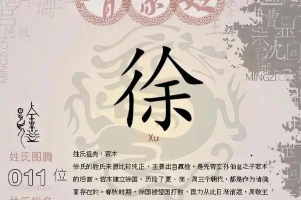 为姓徐宝宝起名：寓意与音韵的完美结合