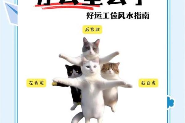 办公风水五大要素影响你的事业成功 办公风水五大要素影响你的事业成功