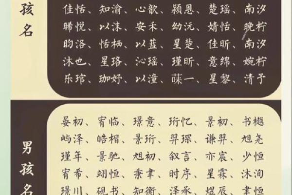 宝宝名字排行大揭秘：父母选择的趋势是什么