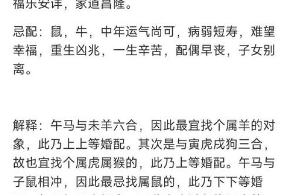 马年出生者的生肖配对建议