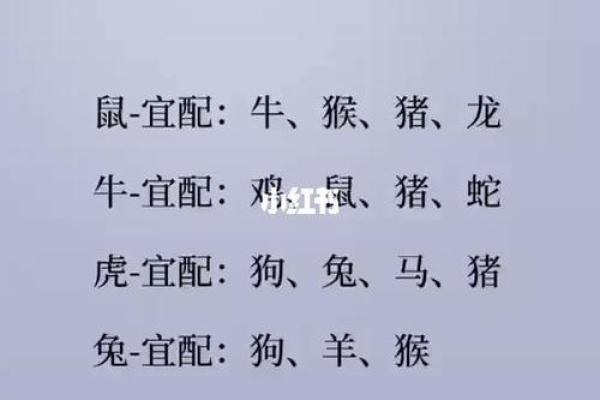 属狗男女的爱情配对解析