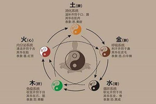 八字地支三会揭秘：如何通过三会了解你的命运走势