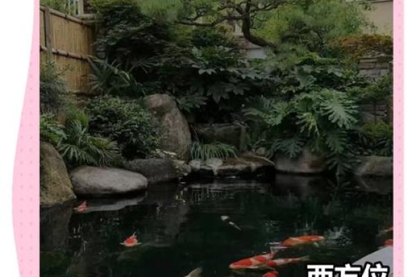 打造和谐家居环境的风水布局法阵指南