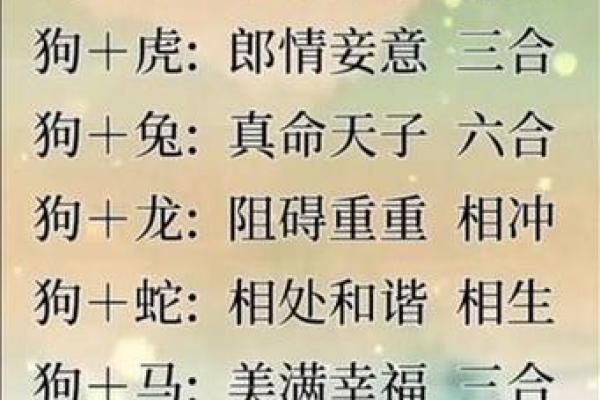 生肖配对：男属龙与女属猴的缘分解析