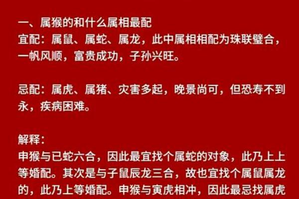 生肖配对：男属龙与女属猴的缘分解析