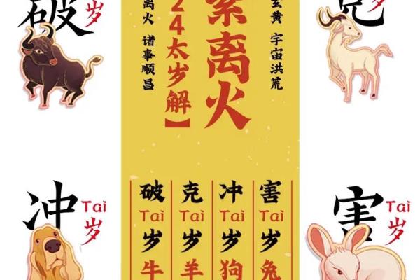 兔男本命年如何提升决策时的准确性