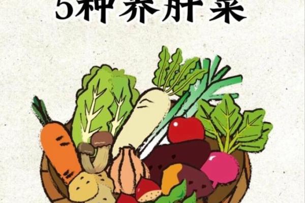 菜字五行解析：揭开它背后的神秘含义与影响