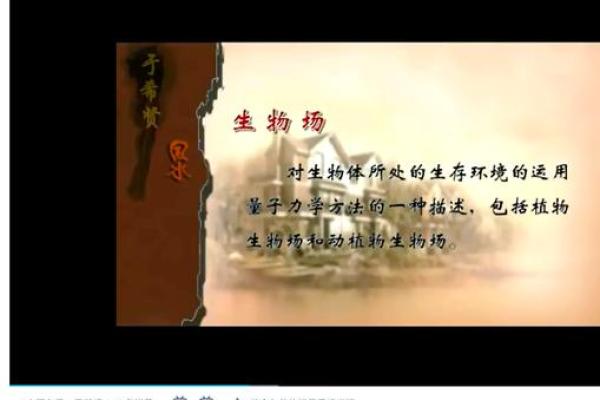 掌握风水学的奥秘 打开成功之门的课程 掌握风水学的奥秘 打开成功之门的课程