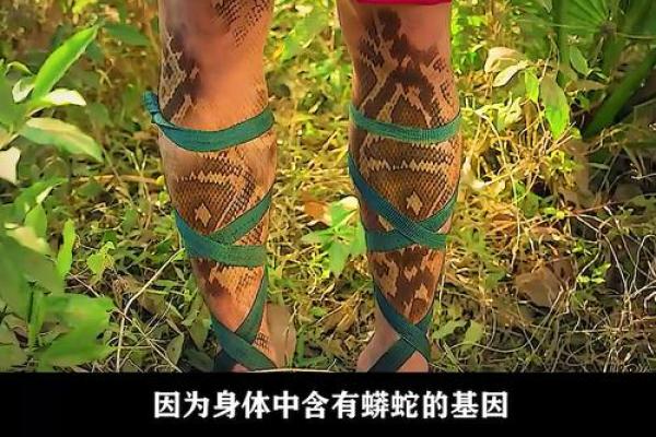 本命年蛇女如何打破事业瓶颈