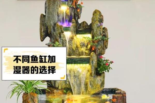打造完美家居风水红河家居风水鱼缸公司指南