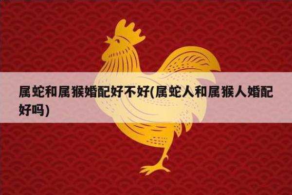 八字合婚的秘密，你了解多少？