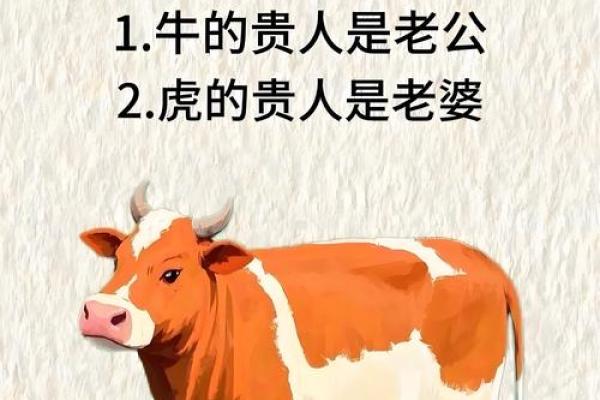 属牛男与属鼠女的婚姻契合度探讨