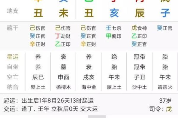 出生的人命运分析与解读