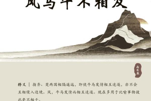 牛与马的缘分深浅，男牛女马如何走向幸福生活