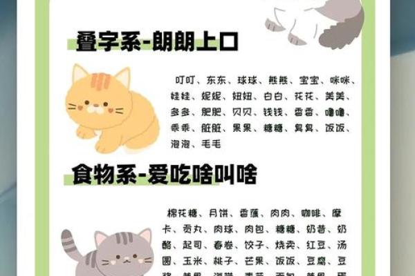 霸气猫咪名字推荐，让你的猫更具王者气质