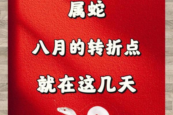本命年蛇女如何化解职场压力