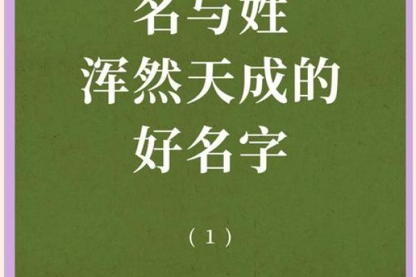 宝宝免费起名字打分服务助您选出完美名字