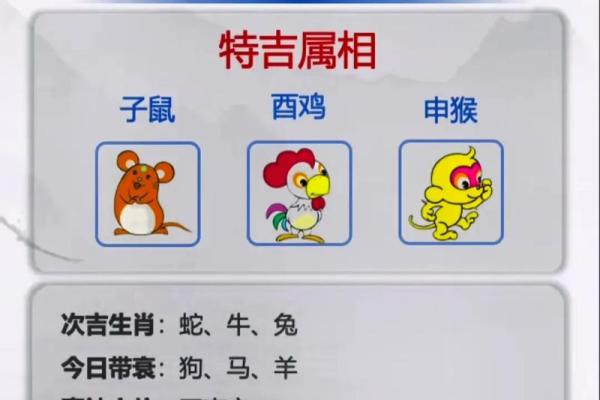 今日运势全解析，不同生肖的运势走向