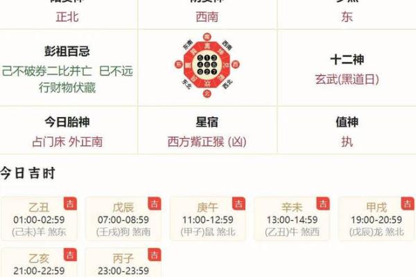今日运势全解析，不同生肖的运势走向