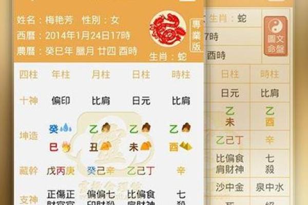 查生辰八字算命真的准吗？专家揭秘真实效果！
