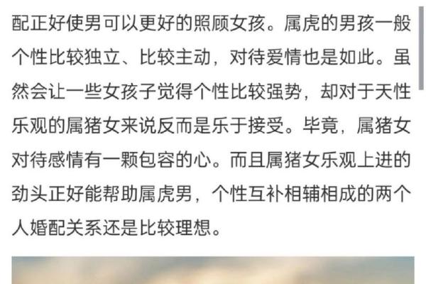 属虎与属猪的性格匹配度分析及感情建议