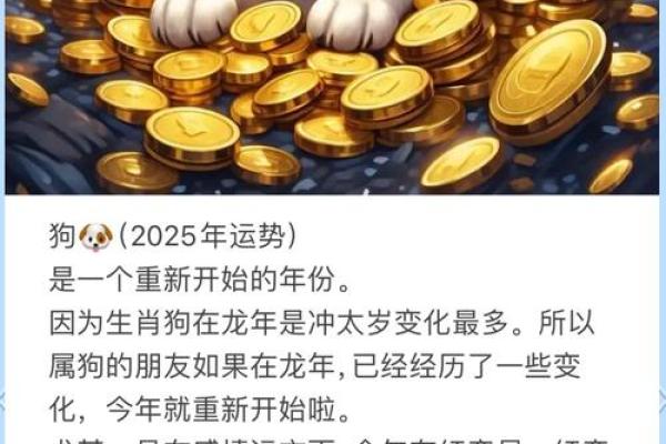 运程分析：不同生肖的命运走势与建议