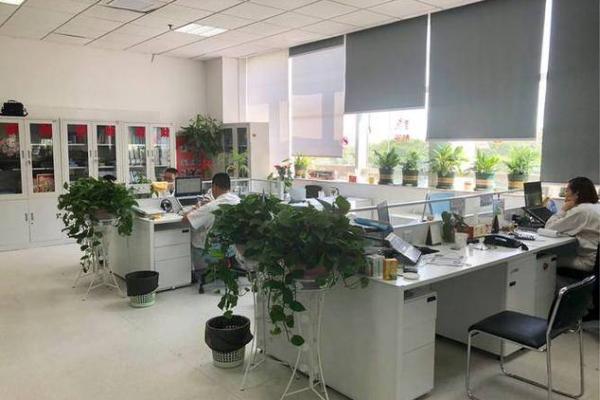 财务办公室风水布局助力公司经济繁荣