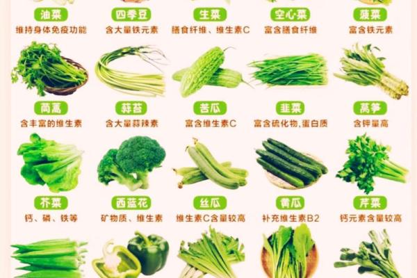 常见蔬菜的营养价值与健康益处