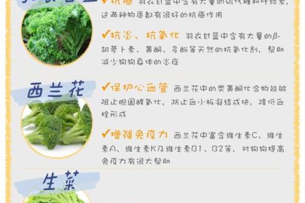 常见蔬菜的营养价值与健康益处