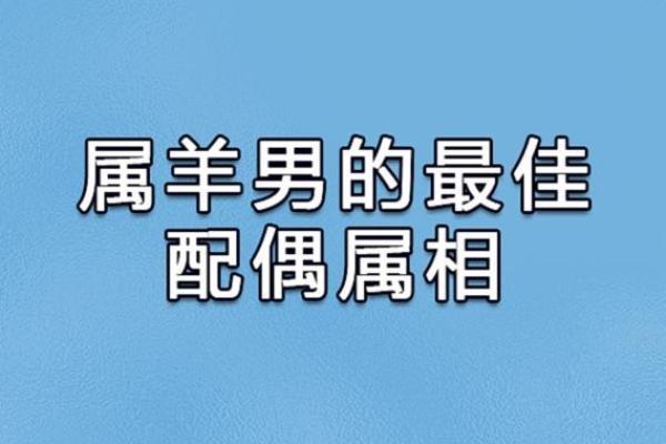 属羊女和属兔男能否长久相伴