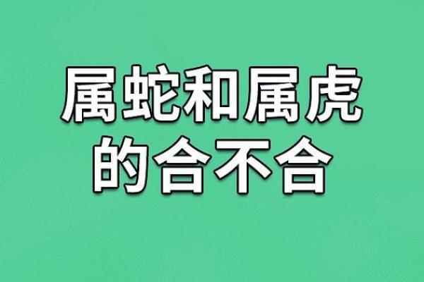 男蛇女鸡的婚姻：从性格到生活的完美契合