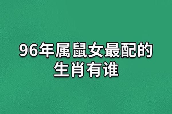 男属鼠女属牛的婚配分析与和谐度探讨