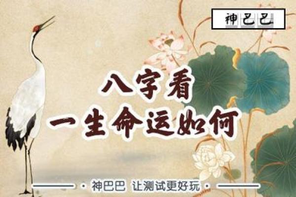 从生辰八字看命运，了解你的未来会怎样发展