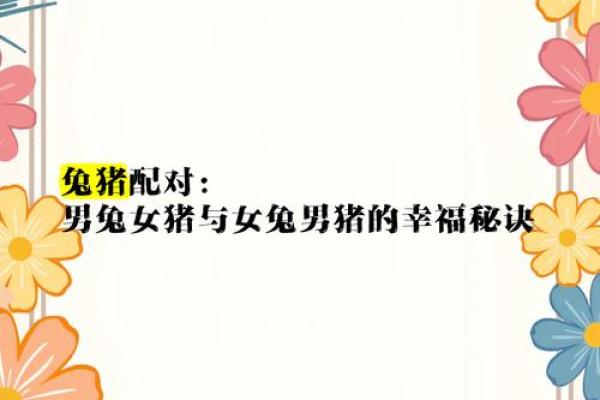 女鼠男兔的配对究竟如何 从生肖角度解析相配与否