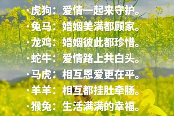 女鼠男兔的配对究竟如何 从生肖角度解析相配与否
