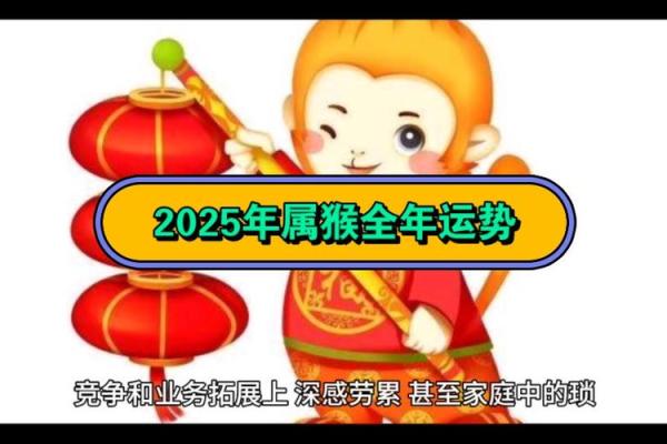 属猴运程如何，事业与感情运势一览
