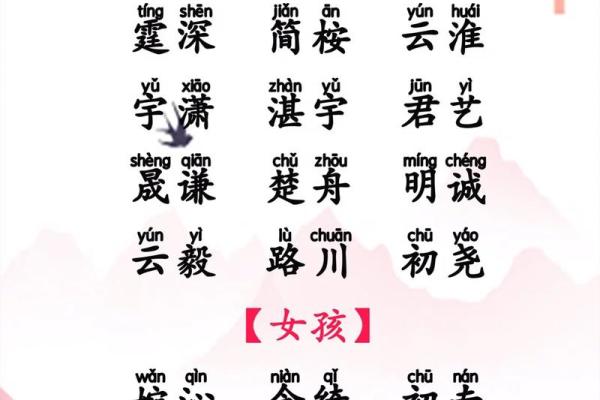 宝宝名字的背后：谁来为孩子起名？