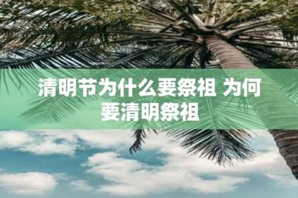 祭祖清明：农历传统与现代生活的交融