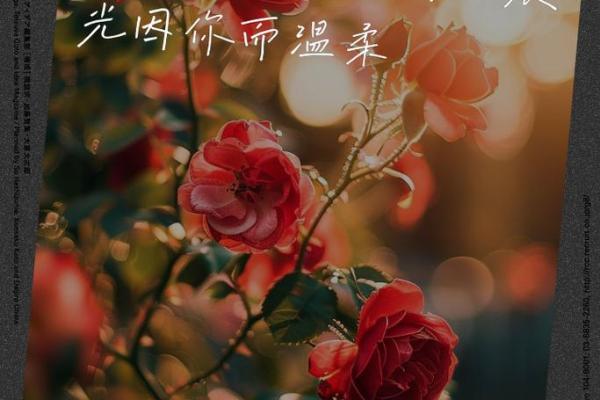 晨光下的女孩名字：温柔与希望的象征