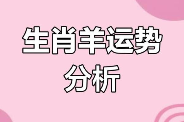 出生的属羊人运程解析