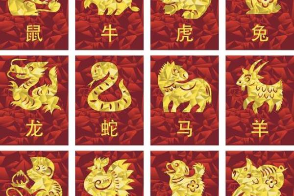 龙女与猴男的爱情契合度分析