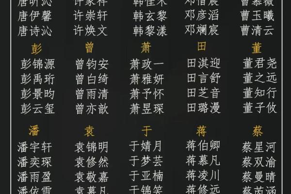 霸气家族名字大全：让你的家族名字独具魅力与威严