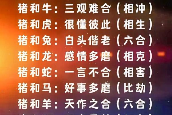 猴与猪的配对是否合适？探索生肖配对的奥秘