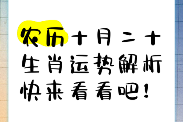 农历生肖运势大揭密，你该如何应对