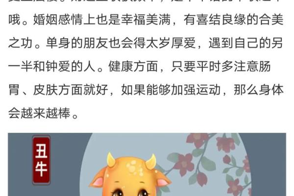 属相运势全面解读：好运和困境的双重考验
