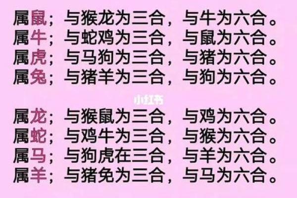 女虎男虎在一起好吗？从生肖角度看他们的爱情关系